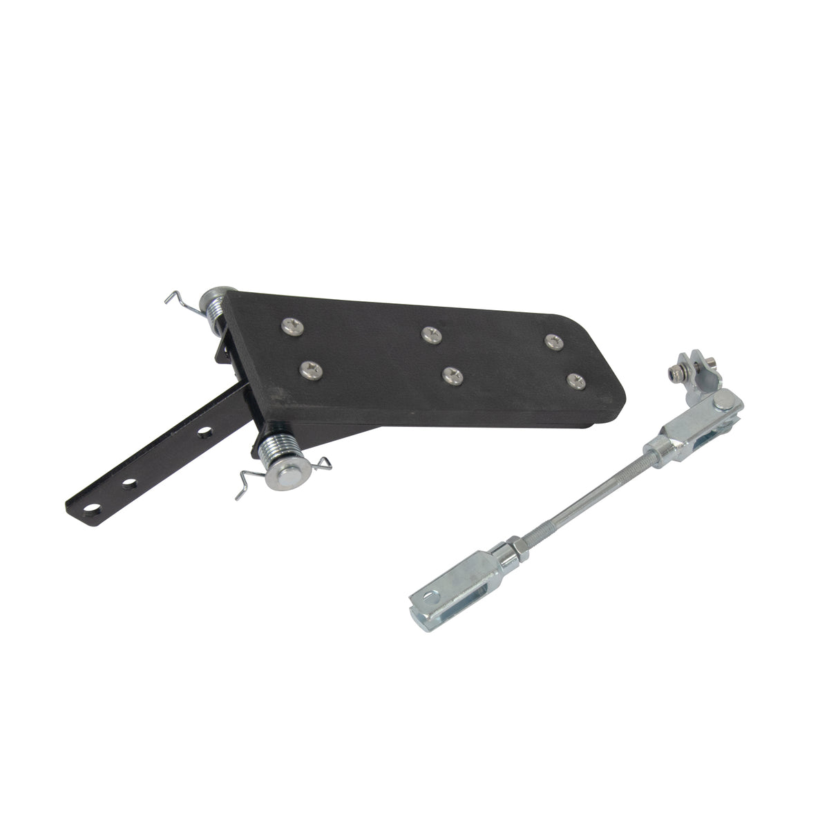 Accelerator Pedal [All Carts] image 1