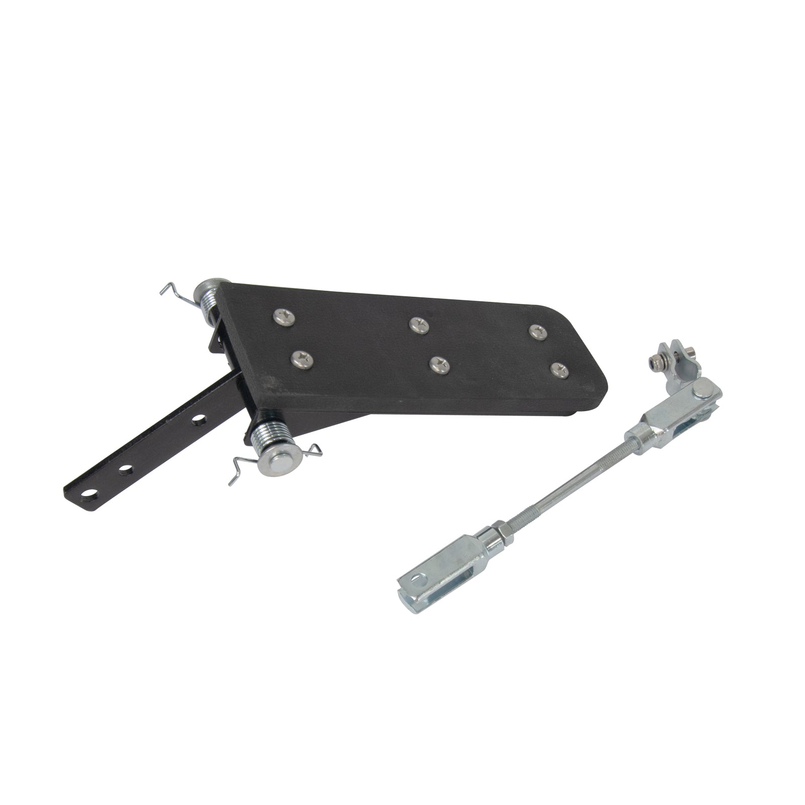 Accelerator Pedal [All Carts] image 1