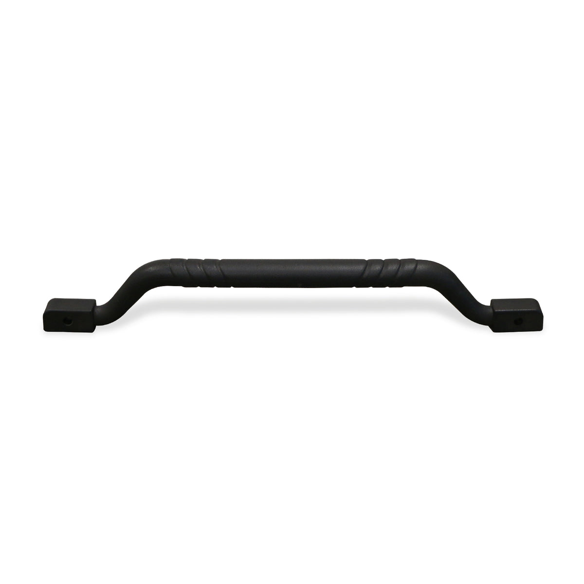 Overhead Safety Handle [2 Seater] image 1
