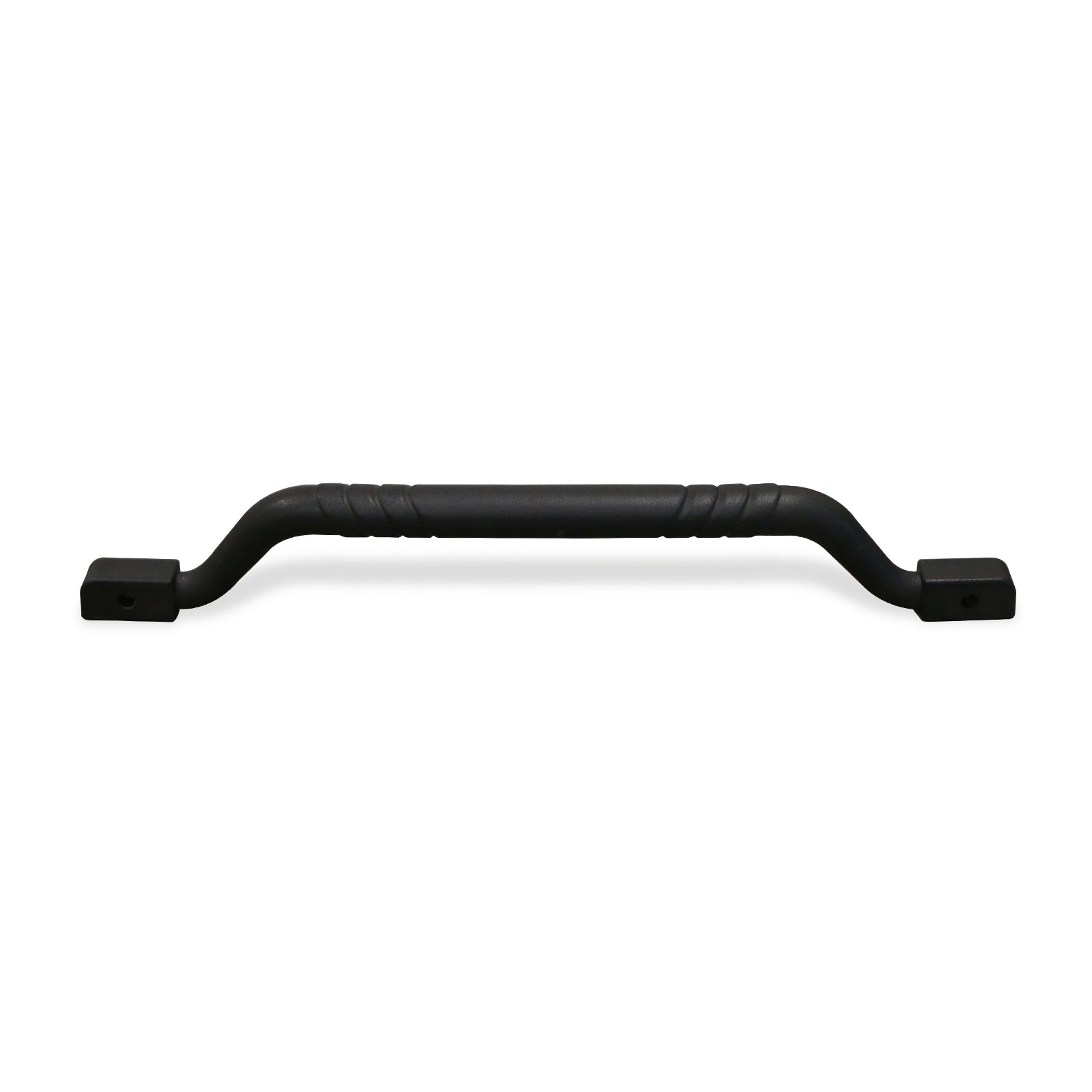 Overhead Safety Handle [2 Seater] image 1