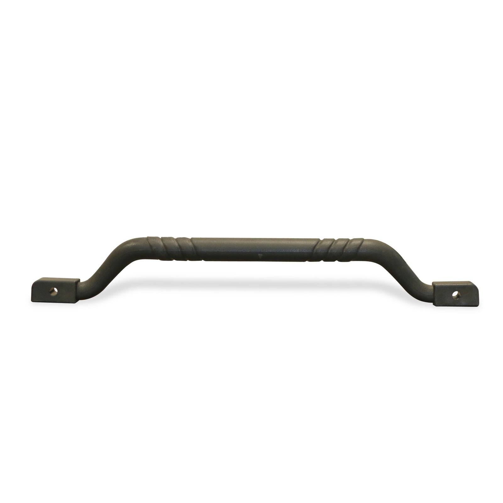 Overhead Safety Handle [2 Seater] image 3
